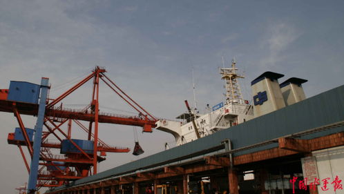 招商港口華南散雜貨營運(yùn)中心揭牌成立，專業(yè)化保潔服務(wù)助力高效運(yùn)營