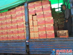 王師傅裝卸服務(wù)隊(duì) 專業(yè)裝卸與保潔服務(wù)一體化解決方案